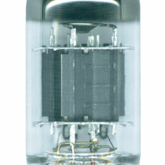 Frontier - Buttonwood Trees on the Burial Ground