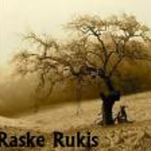 Raske Rukis - Süit (Radio edit)