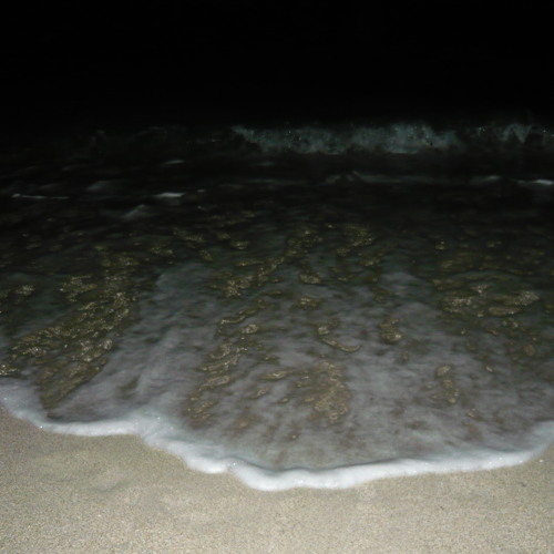 The Sunken Hum Broadcast 4 - Hissing Foam of the Ocean on Sunny Isles Beach, Miami - 4 January 2013
