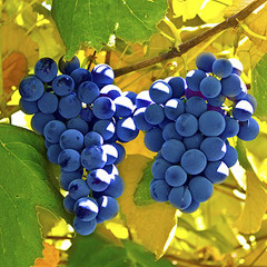 Hoe kan je geloof in God sterker worden?