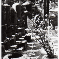 New Order BDO 2002 - Your Silent Face