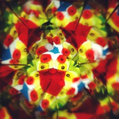 Sailor Of The Psyche