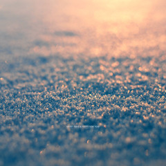 Skism, Virus Syndicate ft Zomboy & Droptek - Vice It (Al3xTaylor Bootleg)[clip] FREE DL! Description