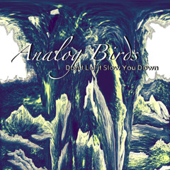 Analog Birds - 04 Through The Woods