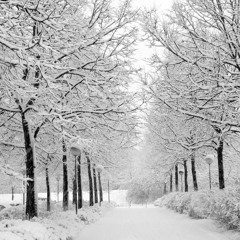 Cold Dark Winter (Feat. Th@ Kid ) [Prod. by Necedah]