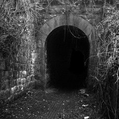 Ex [ Work in Progress ] Long demo