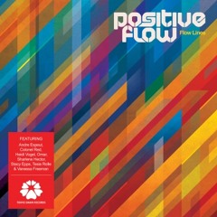 Positive Flow – Do What I Do feat. Omar (B!ZNiZ remix)