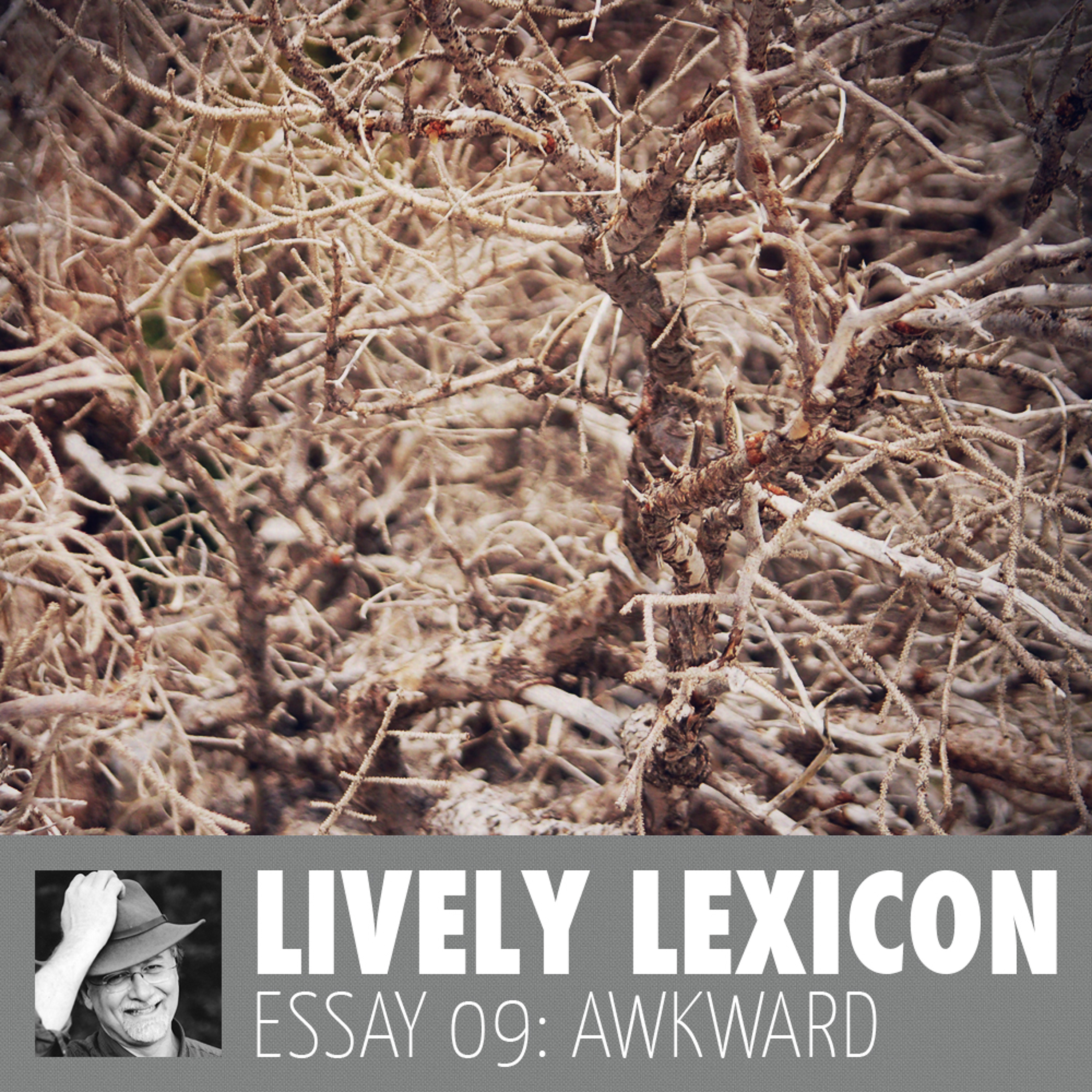 Lively Lexicon