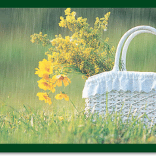 Shin Yong Jae - Because My Steps Are Slow