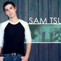 Hold It Against Me - Sam Tsui