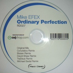 Mike EFEX - Ordinary Perfection (TraDeus Remix)