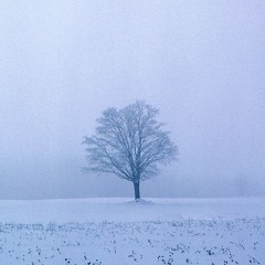 Op.5-"Memories of the Winter" in A major