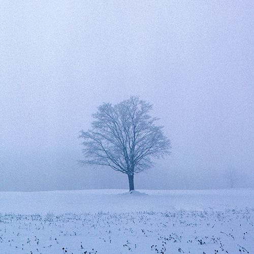 Op.5-"Memories of the Winter" in A major