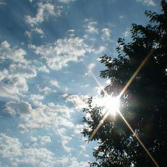Sonniger tag