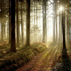 Mr. RepX - Enjoy The Sun