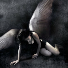 Affecting Noise - Fallen