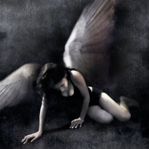 Affecting Noise - Fallen