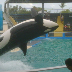 Forget It All (pending)