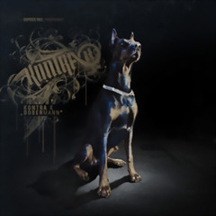 22. Kontra K - Hidden Track