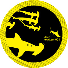 Deep Explorer 028 Trinidadian Deep  "Vision & Sound EP"