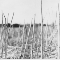Recondite - Petrichor (Tin Man Remix)