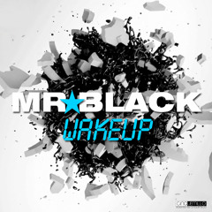 MR.BLACK - WAKE UP (original mix)