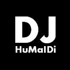 Electro house mix  ( DJ HuMaIDi ) 2013