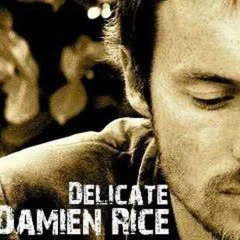 Damien Rice - Delicate