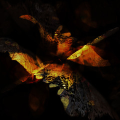 Four Tet - Untangle (Dais Remix)