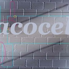 Pacocelli/ Preview 1 hr liveset (155 BPM) for Wim van der Hak his Tae-Bo lesson