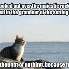So majestic. [Reddit]