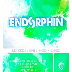 Endorphin-Mixtape#1 (Max Maruo)