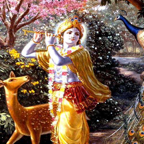 Hare krisna