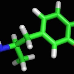 MR.SQUISH - FOG WARNING