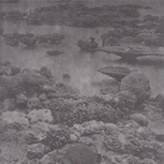 Aerae-IV