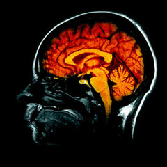 Psychanalyse GLM PGP 2013