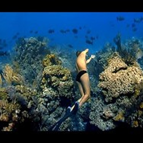 Electronic I  - Underwater