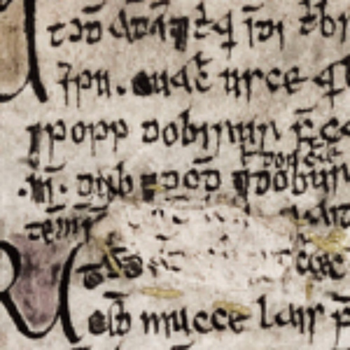 The Palaeography of Lebor na hUidre
