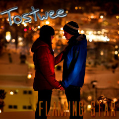 Tostwee - Flaming Star (Original Mix)