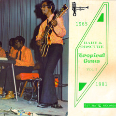 Rare & Obscure Tropical Gems 1965-1981