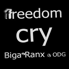 ODG - Freedom Cry ft. Biga*Ranx (preview)