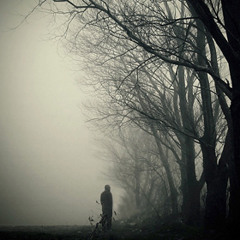 In the lands of nothingness (Test)