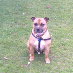 South St Players - Who Keeps Changing Your Mind (Sure & Pure)