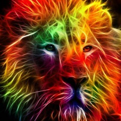 More Than JUNGLE