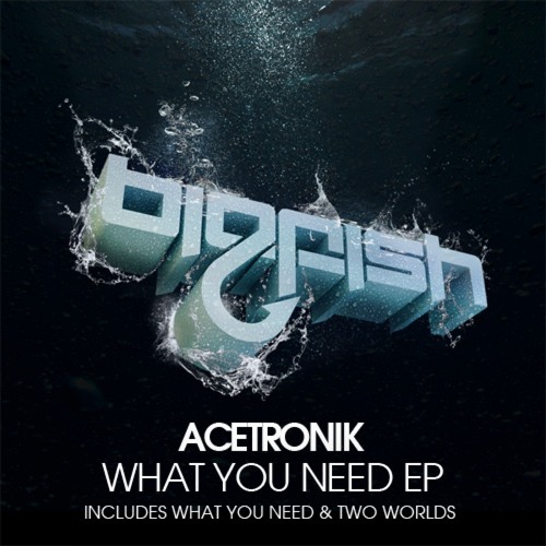 Acetronik - What You Need (Original Mix)