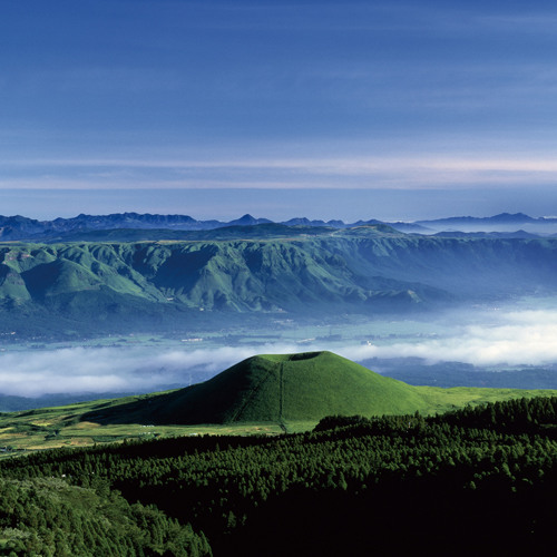 Gnarly Rootz  (Subliminal Integration)