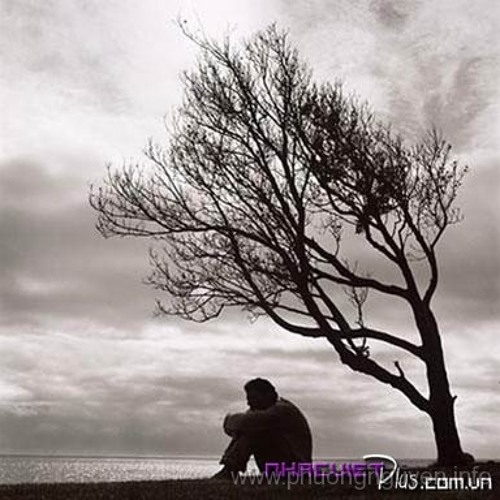 Xuan Nay Con Khong Ve - Quang Le [FLAC Lossless]