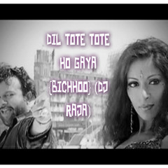 DIL TOTE TOTE HO GAYA {BICHHOO} (DJ RAJA)