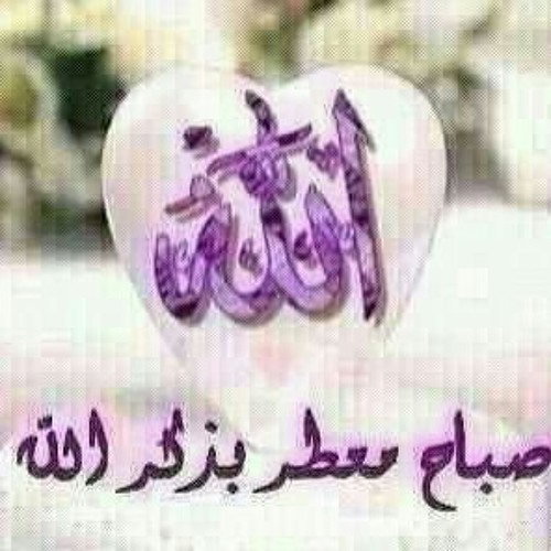 فضل ((لا اله الا الله)) الشيخ المغامسي.