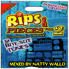 Natty Wallo - Rips n' Pieces Vol. 2  (Mix 2012)